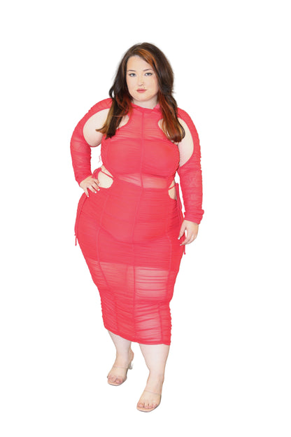 Juicy Body Mesh Cutout Dress
